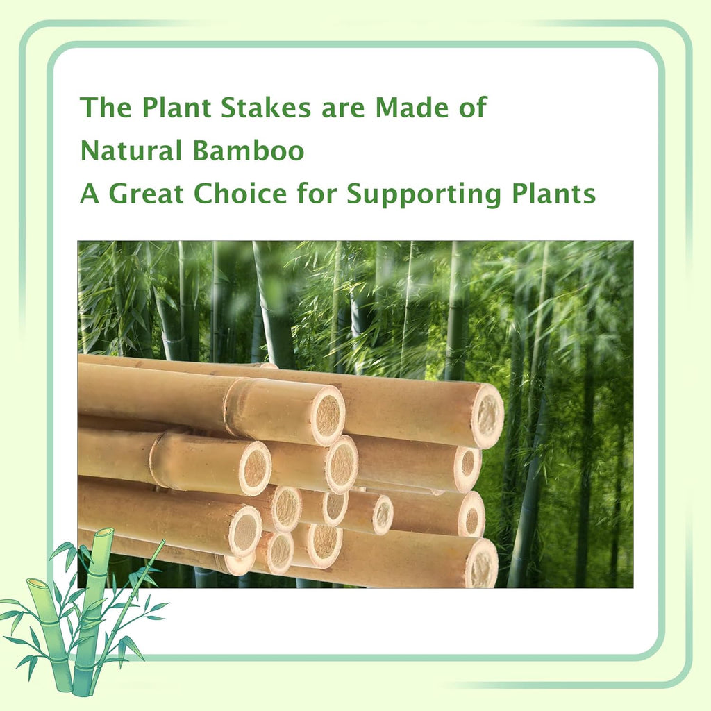 Bamboo Garden Stakes 2FT/3FT/4FT/4.8FT/6FT/7FT/8FT, Plant Stakes for Outdoor Plants, Plant Support Stakes Tomato, Vegetables Beans Trees Climbing Plants (6FT, Pack of 20)