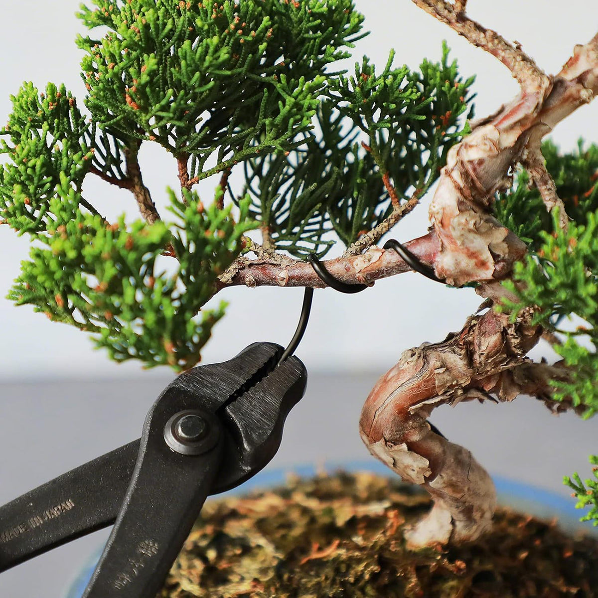 Wazakura 150 gr Black Anodized Aluminum Bonsai Training Wire Made in Japan (6 mm, Black)
