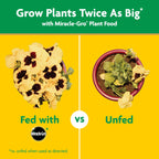Miracle-Gro Garden Feeder with Water Soluble All Purpose Plant Food, 1 lb.