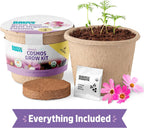 Back to the Roots Organic Cosmos Flower Grow Kit with Plantable Starting Pot Soil and Seeds