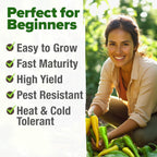 HOME GROWN 𝗨𝗦𝗔 𝗣𝗥𝗘𝗠𝗜𝗨𝗠 Banana Pepper Seeds Pack – 94 𝗡𝗢𝗡-𝗚𝗠𝗢 Heirloom Vegetable Seeds – High Germination Sweet Peppers for Planting Indoors or Outdoor Garden (Capsicum annuum) (1pack)