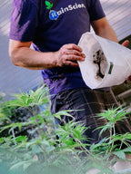 Grow Bag 1 Gallon, Planting Pots - Colorful Plant Grow Bags Pots Gardening Vegetable - Air Pruning Mesh Fabric Plant Container - (White/Yellow)