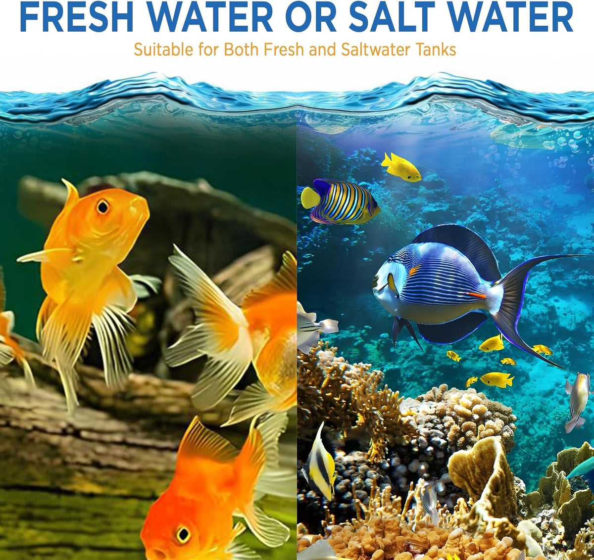 Fish Tank Rocks for Enhancing Water Clarity with Your Regular Cleaning Routine, Fish Friendly Aquarium Rocks, All Natural Aquarium Decor, Small, Up to 750 Gallons