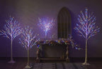 Hairui Lighted Birch Branches Battery Operated with 8 Functions 100 Multi Color and Warm White Lights, Pre Lit Twig Branches for Easter Christmas Party Room Decoration