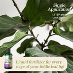 Leaves and Soul Professional Liquid Fiddle Leaf Fig Plant Fertilizer | 3-1-2 Concentrate for House Plants | 8 oz Bottle