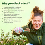 Outsidepride Buckwheat Seeds - 1oz Annual, Fast-Growing, Easy to Grow Buckwheat Cover Crop Seeds for Green Manure, Bee Pasture & Pollinators, Wildlife Habitat, Soil Improvement, and Erosion Control