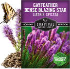 Survival Garden Seeds - Dense Blazing Star (Liatris spicata) | Gayfeather | Prairie Feather | North American Native Wildflower Seeds - 1 Pack