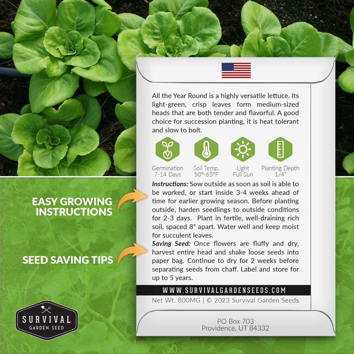 All The Year Round Lettuce Seed for Planting - 2 Packets with Instructions to Plant & Grow Adaptable Salad Greens in Your Home Vegetable Garden - Non-GMO Heirloom Variety - Survival Garden Seeds
