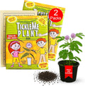 TickleMe Plant Seeds for Indoor Planting (2-Pack) – Interactive Party Favor | Leaves Close When Touched, Reopen in Minutes – Easy Indoor House Plant Seeds, Can Flower, Includes 10 Fun Activities