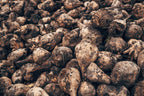 Sugar Beet Seeds for Planting – Plant & Grow Heirloom Sugar Beets in Home Outdoor Vegetable Garden, Beta vulgaris – 3 Packets