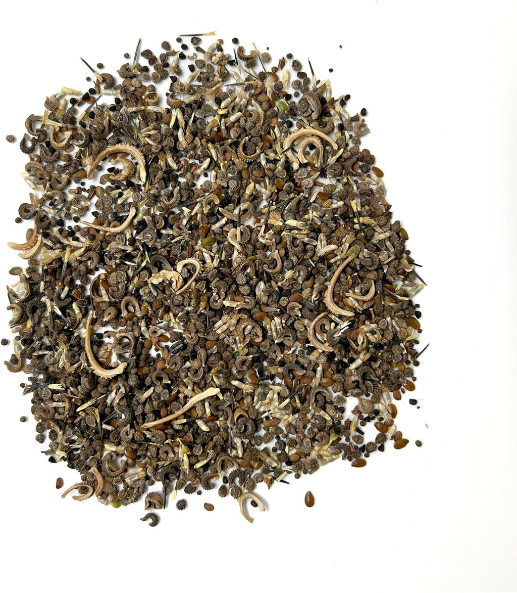 Ferry-Morse Annual Mix Bulk Flower Seeds, 1lb