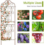 hogardeck 4 Packs 60 * 18 inch Metal Garden Trellis for Climbing Plants Outdoor,Heavy Duty,Gold Coating Rustproof Trellis for Rose, Vegetable, Flowers, Expandable,Perfect for Training Climbing Plants