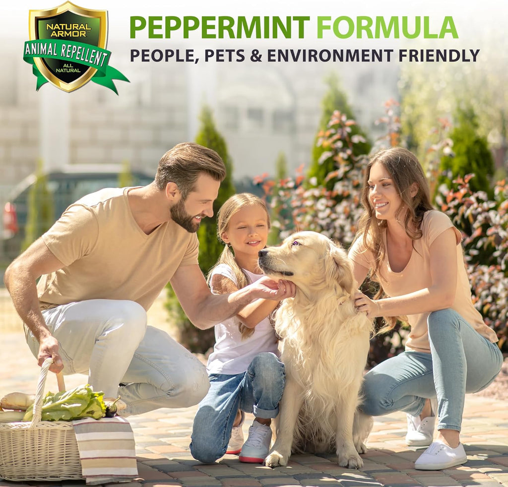 Natural Armor Animal & Rodent Repellent Spray. Repels Skunks, Raccoons, Rats, Mice, Deer Rodents & Critters. Repeller & Deterrent in Powerful Peppermint Formula – 128 Fl Oz Gallon Ready to Use