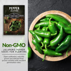 Jalapeño Pepper Seeds for Planting | Hot Heirloom Non-GMO Peppers for Pickling & Salsas – Survival Garden Seeds (5 Packs)