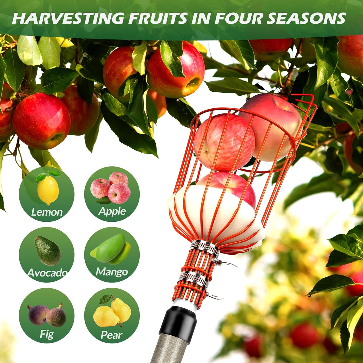 Walensee 23FT Fruit Picker, Adjustable Fruits Picker Tool with Fiberglass Pole, Big Basket and Storage Bag, Fruit Catcher Equipment Tree Picker for Lemons Apples Mango Orange Avocados Fruit Picking