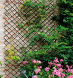 Expandable Garden Trellis Plant Support Willow Lattice Fence Panel for Climbing Plants Vine Ivy Rose Cucumbers Clematis 36X92 Inch