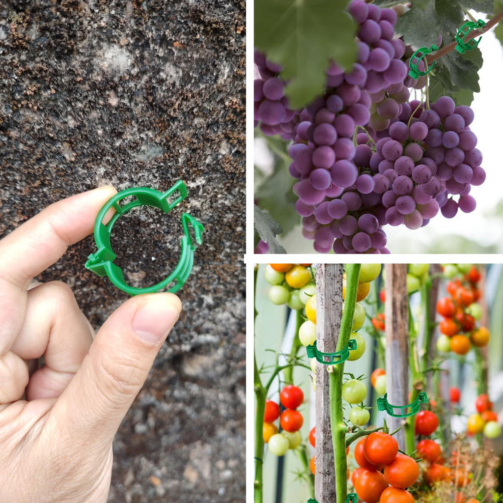 CACERIAWM Plant Support Clips, 100 Pcs Tomato Clips, Plastic Trellis Clips, Grape Vine Tomato Vine Vegetables Plants Garden Support Clips to Grow Upright Makes Plants Healthier