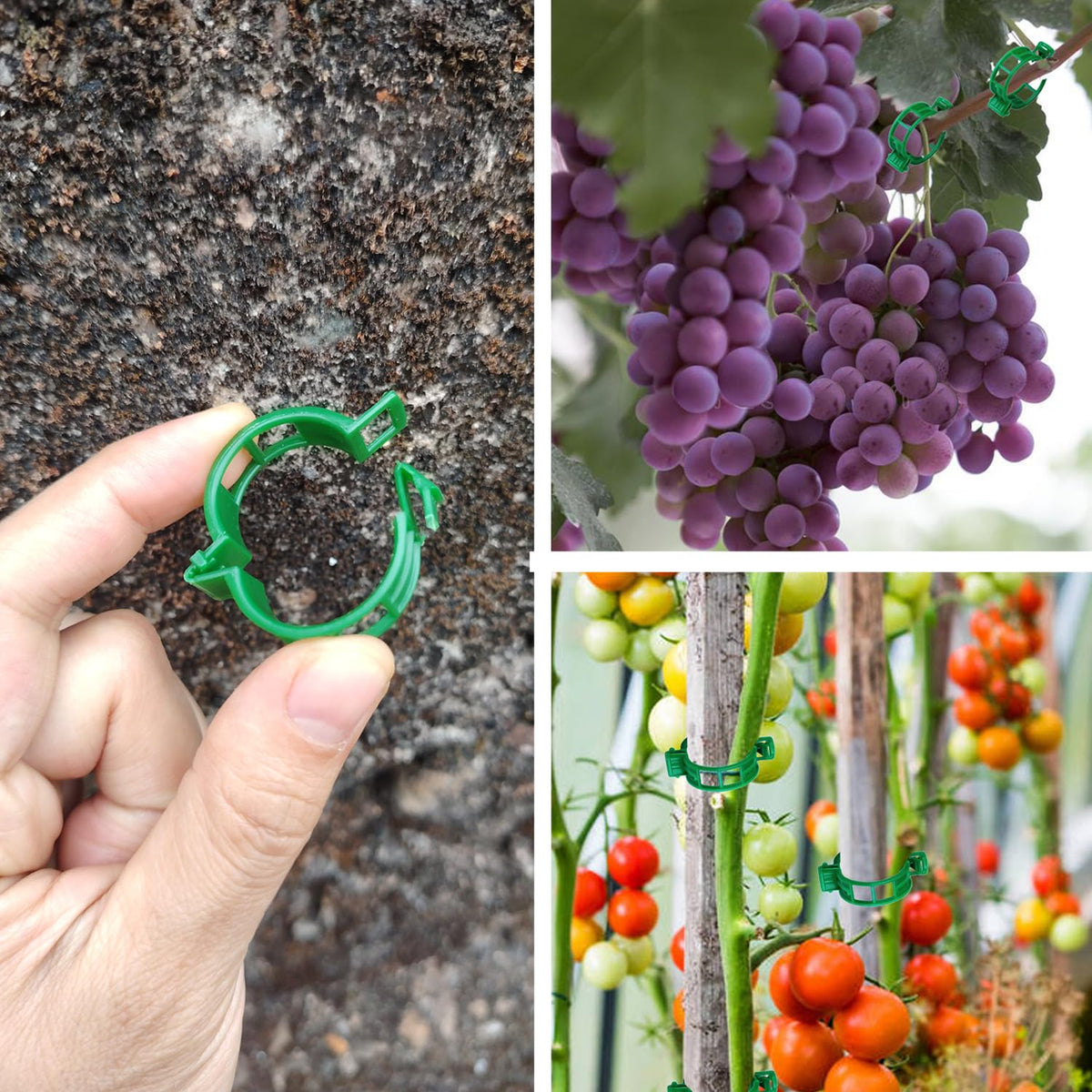CACERIAWM Plant Support Clips, 100 Pcs Tomato Clips, Plastic Trellis Clips, Grape Vine Tomato Vine Vegetables Plants Garden Support Clips to Grow Upright Makes Plants Healthier