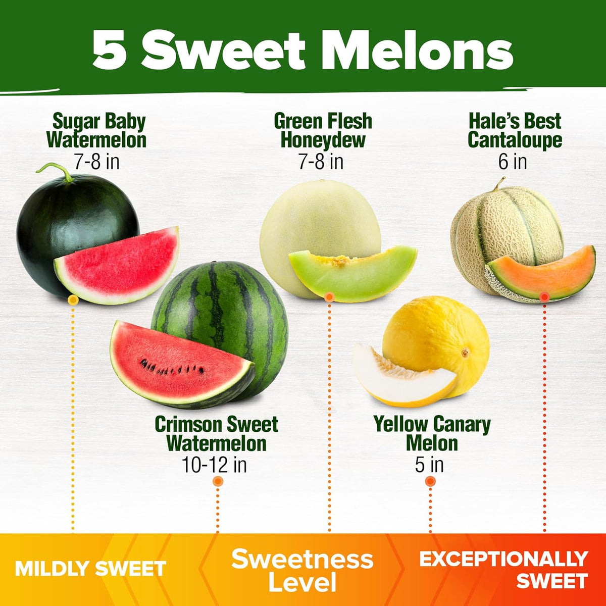 HOME GROWN 𝗨𝗦𝗔 𝗣𝗥𝗘𝗠𝗜𝗨𝗠 Melon Seeds Variety Pack 5 𝗡𝗢𝗡-𝗚𝗠𝗢 Heirloom Vegetable Seeds, Watermelon Cantaloupe Honeydew Sugar Baby & Melon, High Germination for Planting Home Garden Indoors
