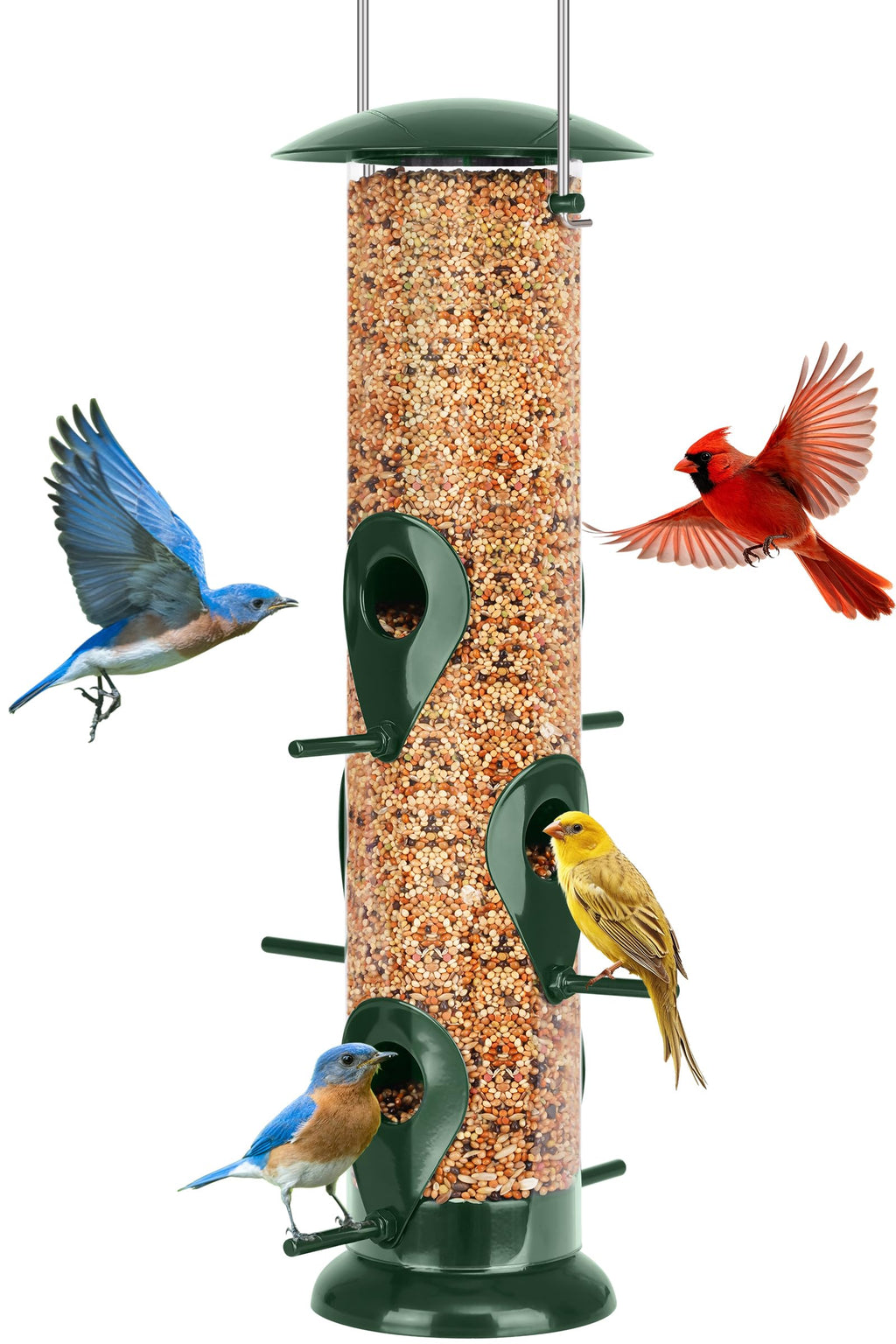 FEED GARDEN Metal Bird Feeder- 6 Port Tube Feeder for Outdoors with Metal Lid, Easy Fill & Clean, Weather Resistant, 13 Inch