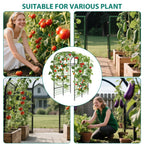 Metal Garden Arch Trellis, 7.3Ft Black for Raised Beds, Plant Support for Cucumbers & Climbing Vegetables