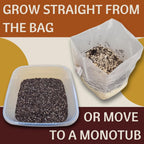 5 lb Mushroom Grow Bag – Sterilized All-in-One Bag with Injection Port – Organic Rye and CVG