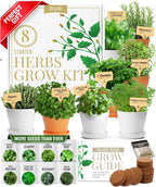 HOME GROWN 𝗣𝗥𝗘𝗠𝗜𝗨𝗠 𝗛𝗘𝗥𝗕 𝗞𝗜𝗧 8 Herb Seeds Garden Kit, Complete Indoor Planter Gift with Basil Cilantro Mint & More, Unique Kitchen Growing Set for Women Men, Birthday Housewarming Present