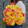 Eden Brothers Ranunculus Bulbs - Pastel Lemon
