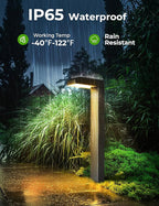 COXSENI Solar Pathway Lights Outdoor 8 Pack, 3 Color in 1 Bright Landscape Lighting with Cool/Warm/Daylight White Modes, Auto On/Off, IP65 Waterproof for Yard Garden Patio Walkway Sidewalk Lawn Decor