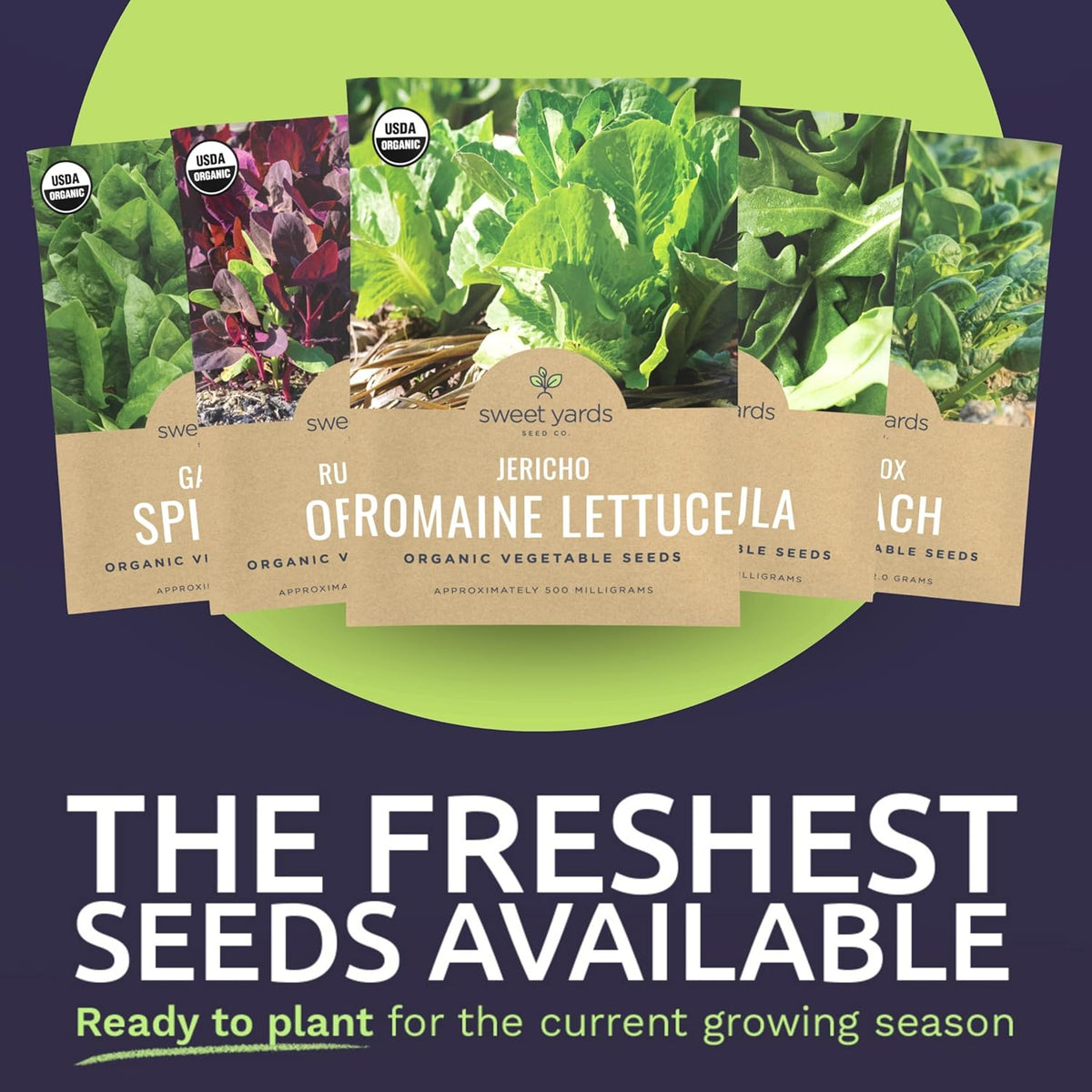 Organic Heat Tolerant Lettuce Seeds Variety Pack - 9 Individual Packs - 2025 Season - Galilee Spinach, Wild Arugula, Romaine Lettuce & More! for Indoor & Outdoor Planting (Non-GMO, Certified Organic)