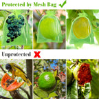 Morcheiong 60Pcs Fruit Protection Bags 8" x 12", Reusable Fruit Netting Bags for Fruit Trees, Garden Netting Mesh Bags with Drawstring (Green)