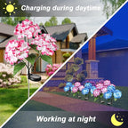 Solar Flower Lights - 2 Pack Waterproof Garden Lights with Solar Hydrangea Stake, Decorative for Patio, Courtyard, Garden Lawn (Blue & Rose Red)