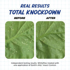 Earth's Ally Insect Control Concentrate for Plants 32 oz | Safe Outdoor & Indoor Plant Insecticide, Spider Mite, Aphid & Mealybug Killer - for Organic Garden & Household Plants