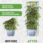 Tomato Cage Square - Large Trellis Stakes and Plant Support Structures for Vegetables and Climbing Plants - Tall Tomato Cages for Garden, Pots, Raised Garden Bed Outdoor Supplies (3 Pack - Up to 58")