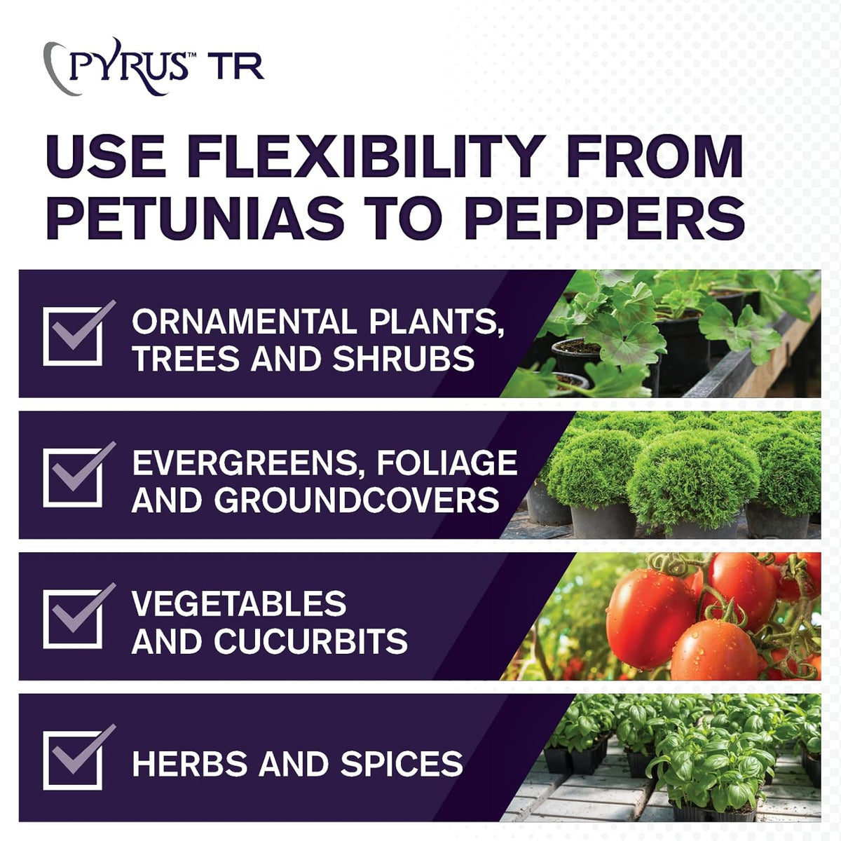 Atticus Pyrus TR Greenhouse Fogger (2oz) - Total Release Pyrethrin Insecticide/Miticide - Controls Mites, Thrips, Aphids, Whiteflies, and Fungus Gnats (Packaging May Vary)