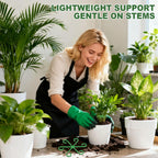 8pcs Plant Stem Support, Plant Support for Indoor Plants, 4 Sizes Climbing Houseplant Stem Holders, Reusable Plant Stabilizer, Indoor Plants Accessories