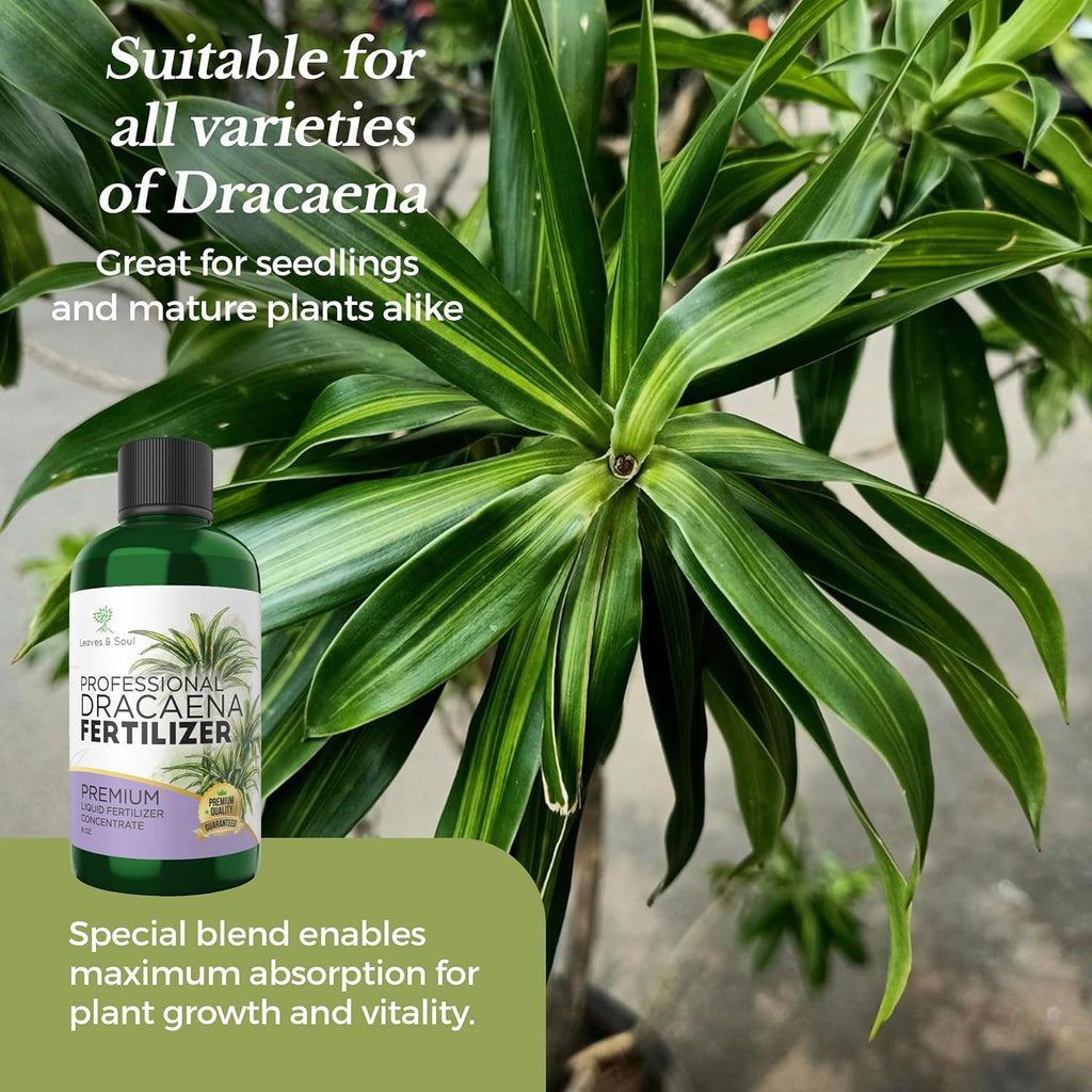 Professional Liquid Dracaena Plant Fertilizer | 3-1-2 Concentrate for Indoor Plants | Multi-Purpose Blend & Gardening Supplies | 8 oz Bottle