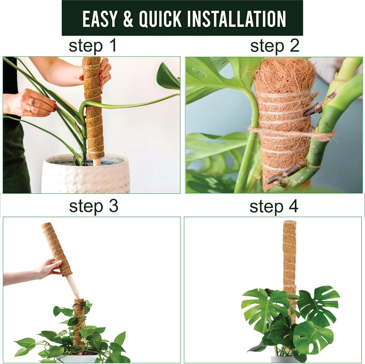 Moss Pole Pack of 4 – 50CM Monstera Plant Support | Natural Coco Coir Plant Poles for Indoor Plants | Extendable Moss Sticks for Climbing Plants, Pothos & Philodendron