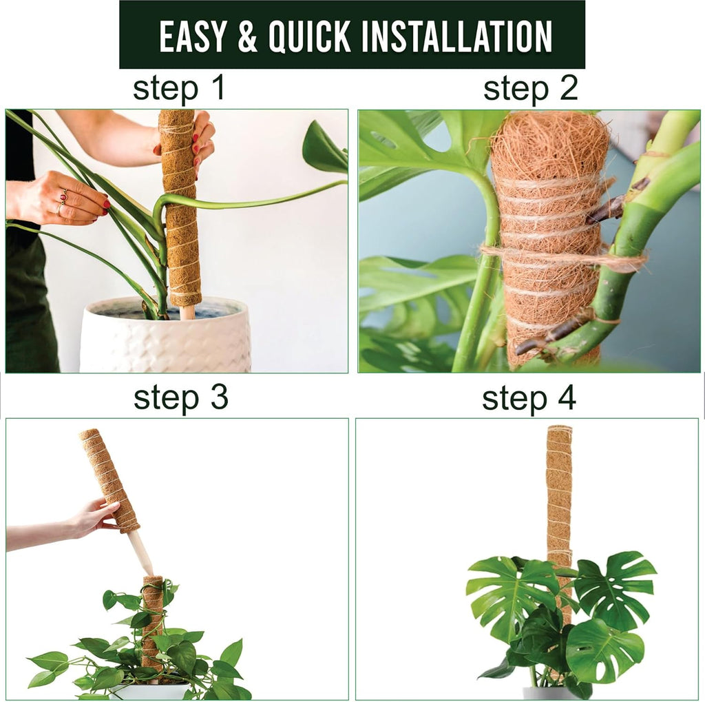 Moss Pole Pack of 2 – 50CM Monstera Plant Support | Natural Coco Coir Plant Poles for Indoor Plants | Extendable Moss Sticks for Climbing Plants, Pothos & Philodendron
