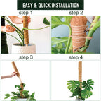 Moss Pole Pack of 2 – 50CM Monstera Plant Support | Natural Coco Coir Plant Poles for Indoor Plants | Extendable Moss Sticks for Climbing Plants, Pothos & Philodendron