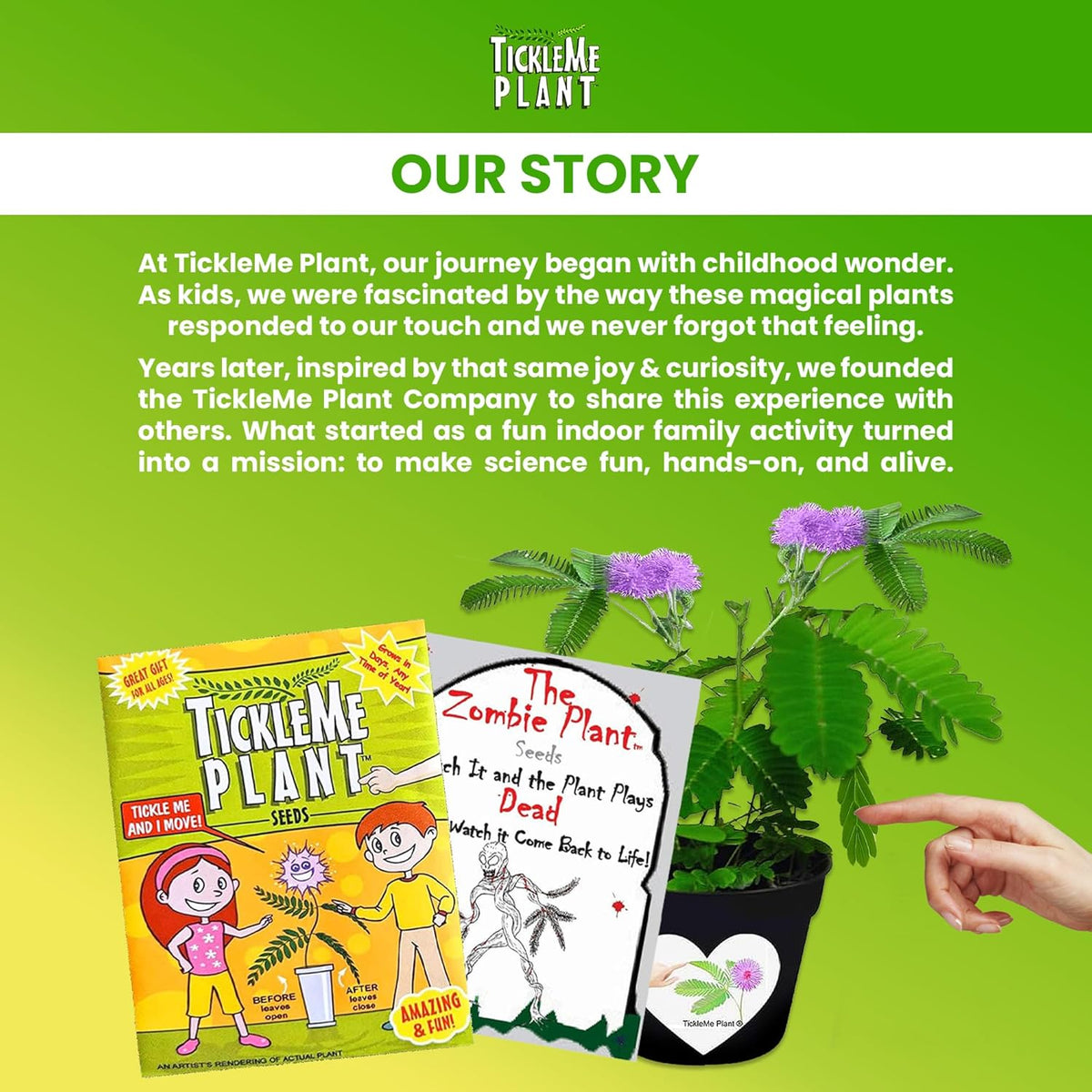 Zombie Plant Party Favors (2) Plays Dead When Touched! Includes Soil, Seeds & Mini Flower Pot. Supplies for Zombie Themed Birthday. Plant it as a Fun Indoor Science Activity