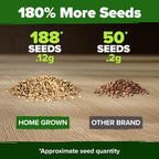 HOME GROWN Banana Pepper Seeds 2 Pack (Capsicum annuum) – 188 𝗡𝗢𝗡-𝗚𝗠𝗢, 𝗨𝗦𝗔-𝗦𝗢𝗨𝗥𝗖𝗘𝗗 Heirloom Seeds, High Germination Vegetable Seeds – Growing Sweet Banana Peppers Indoors or Garden