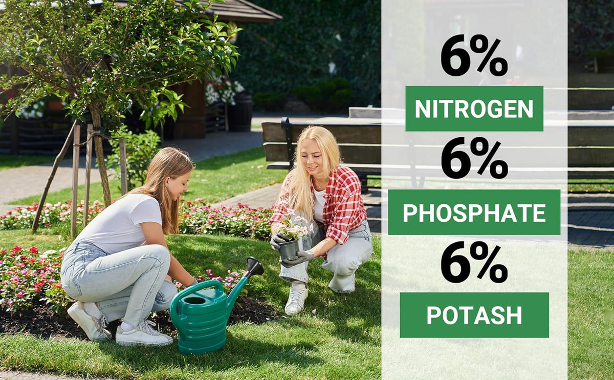 6-6-6 All-Purpose Professional Plant Food Fertilizer; Ideal for Winter Care & Spring Feeding, Perfect Balanced NPK for Indoor and Outdoor Plants (2 QUARTS)