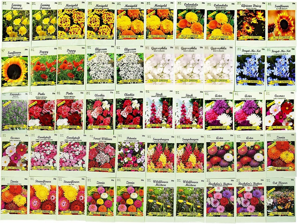 Set of 500 Flower Seed Packets - Flower Seeds in Bulk - 15 or More Varieties Available - Great for Creating Colorful Gardens (500)