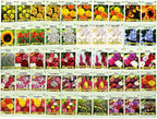 Set of 500 Flower Seed Packets - Flower Seeds in Bulk - 15 or More Varieties Available - Great for Creating Colorful Gardens (500)