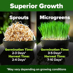HOME GROWN 12,000+ Wheatgrass Seeds Bulk Pack(1.5 lb) 𝗡𝗢𝗡-𝗚𝗠𝗢 𝗨𝗦𝗔 Hard Red Winter Wheatgrass – Heirloom, Sprouting for Juicing, Microgreens, Smoothies & Indoor Gardening(Triticum aestivum)
