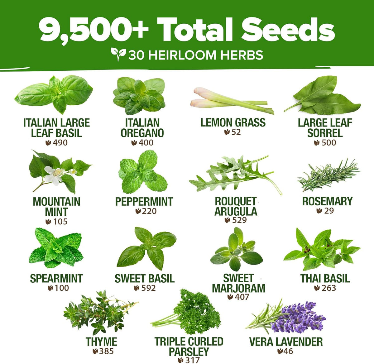 HOME GROWN 30 Herb Seeds for Planting 9,500+ Non-GMO Heirloom Seeds | Extra Large Variety Pack Herb Kit – Indoor Outdoor & Hydroponic | Culinary Seed Set | Grow Your Own Herbs | Gardening Gift