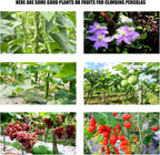 A-Type Cucumber Climbing pergola up to 50in up to 46-48in, Outdoor Climbing Triangle Plant Garden net, Vegetable Plant Support, loofah Climbing pergola