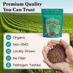 Seedboy Organic Non-GMO Sprouting Seeds, Superfood Blend - USA Grown Microgreens Mix with Broccoli, Radish, Pak Choi, Clover, Red Kale - 8 oz Makes 8 Quarts / 24 Servings (Superfood Blend)