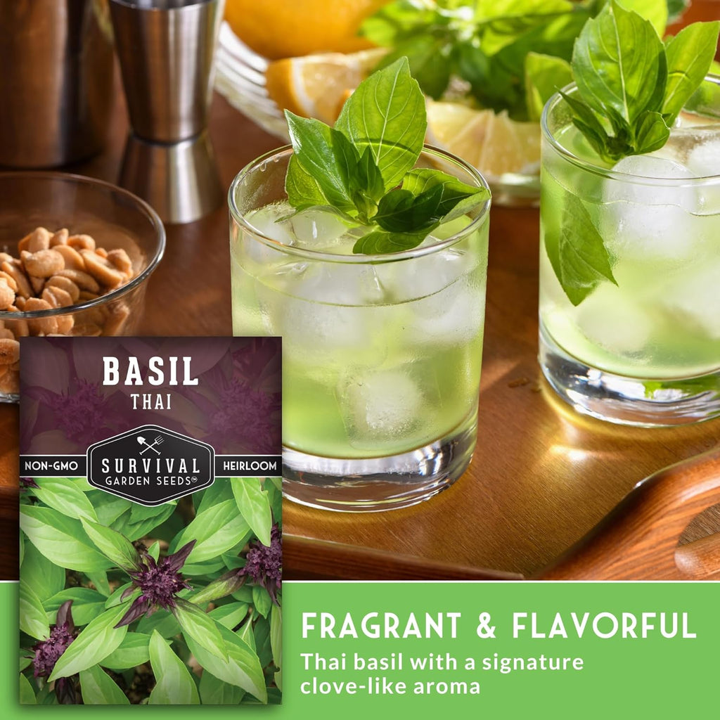 Survival Garden Seeds - Thai Basil Seed for Planting - 5 Packets with Instructions to Plant and Grow Asian Basil Indoors or Outdoors in Your Home Vegetable Garden - Non-GMO Heirloom Variety